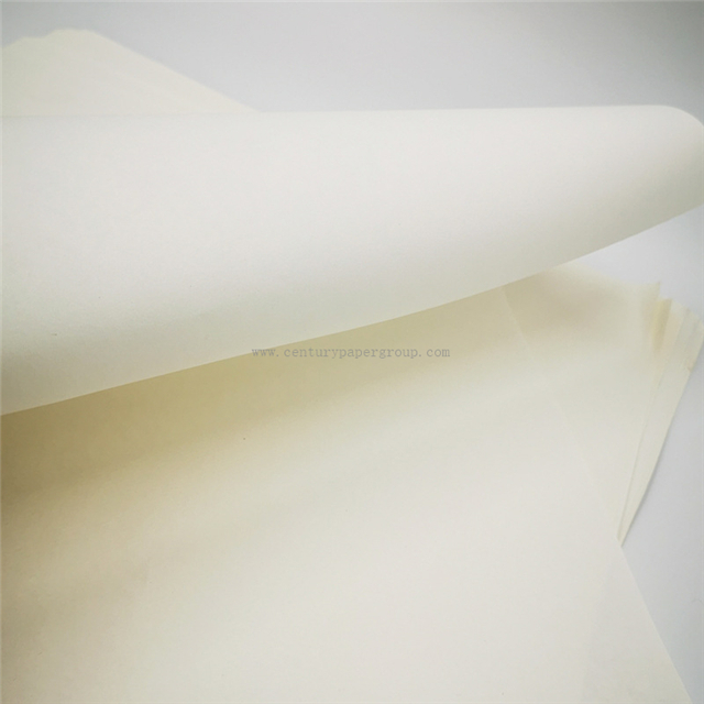 Papier de bobine de papier offset non couché de couleur crème 80 g/m²