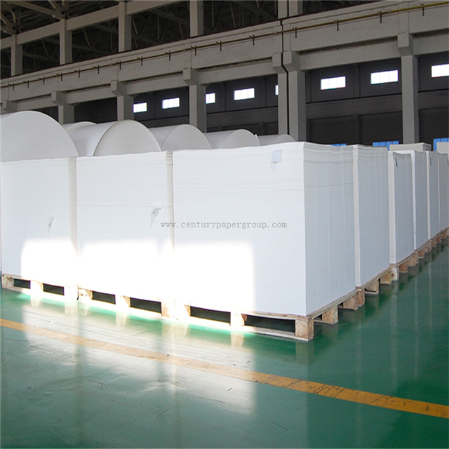 Feuilles blanches d'impression sans bois Rouleaux de papier offset avec 60 70 GSM 80GSM 80g pour Copy Book