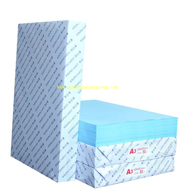 Rouleau de papier Blueprint pour l'artisanat, le dessin et la peinture