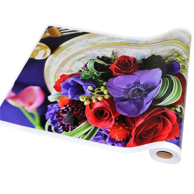 Vinyle auto-adhésif imprimable à l'encre solvant / éco-solvant 